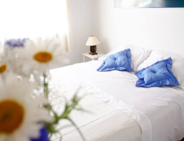 457210273_3694362217448908_6658277757231866123_n