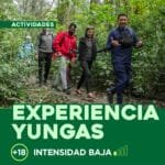 Experiencias Yungas