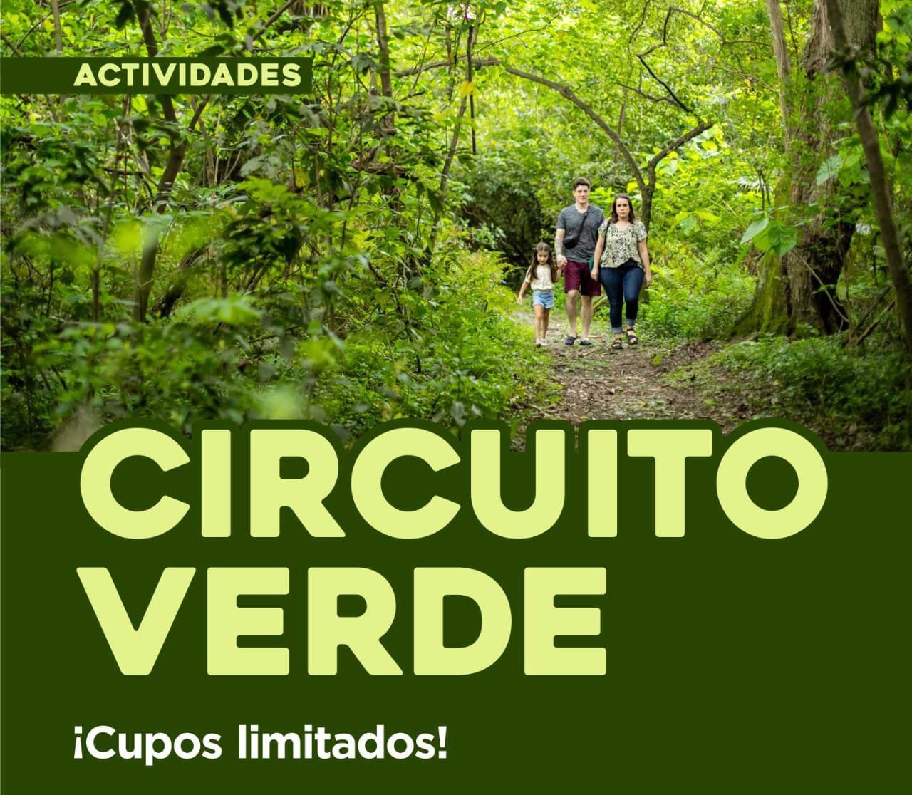 Circuito verde