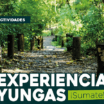Experiencias Yungas