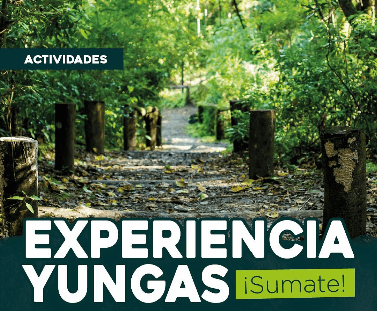 Experiencias Yungas