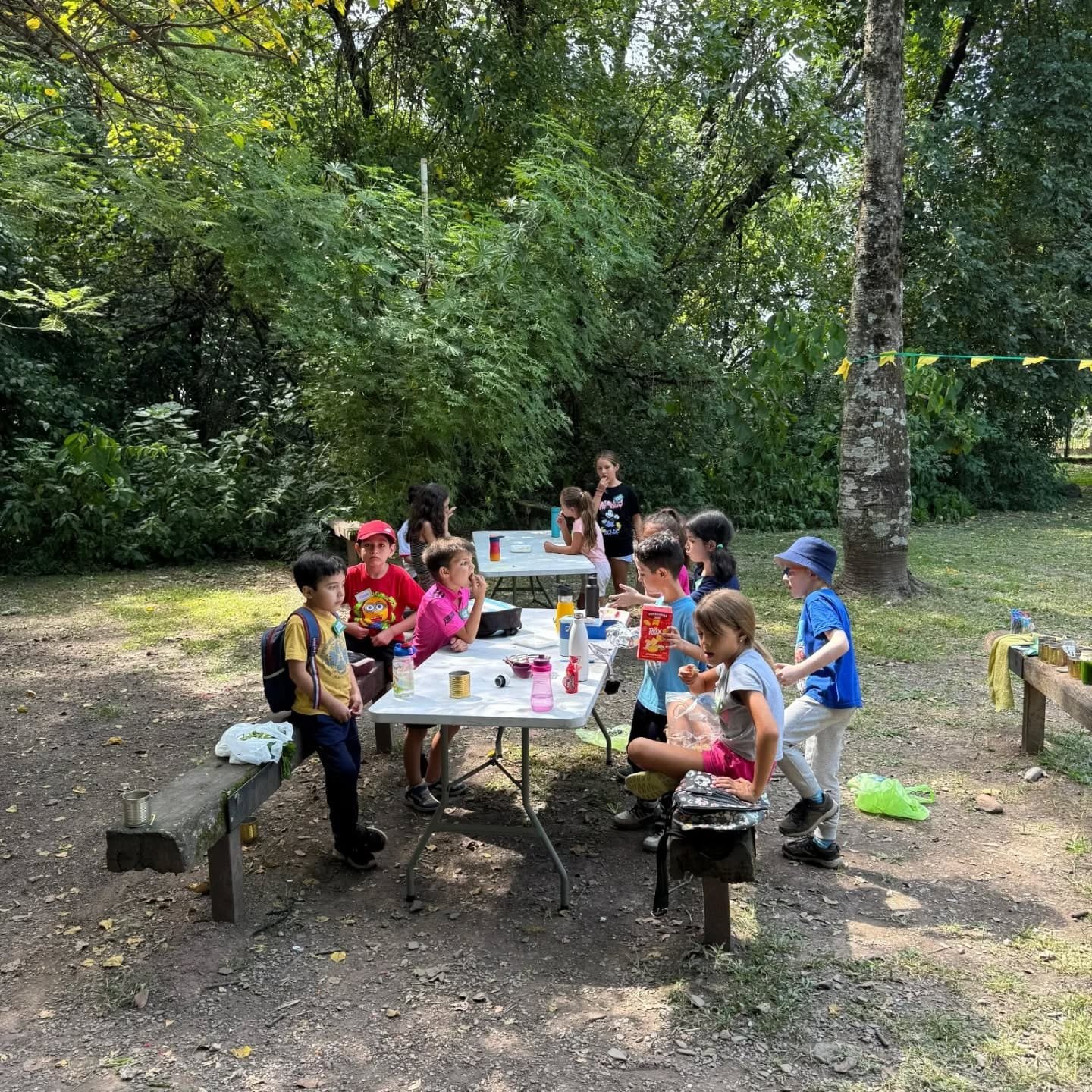 Colonia Científica de Verano