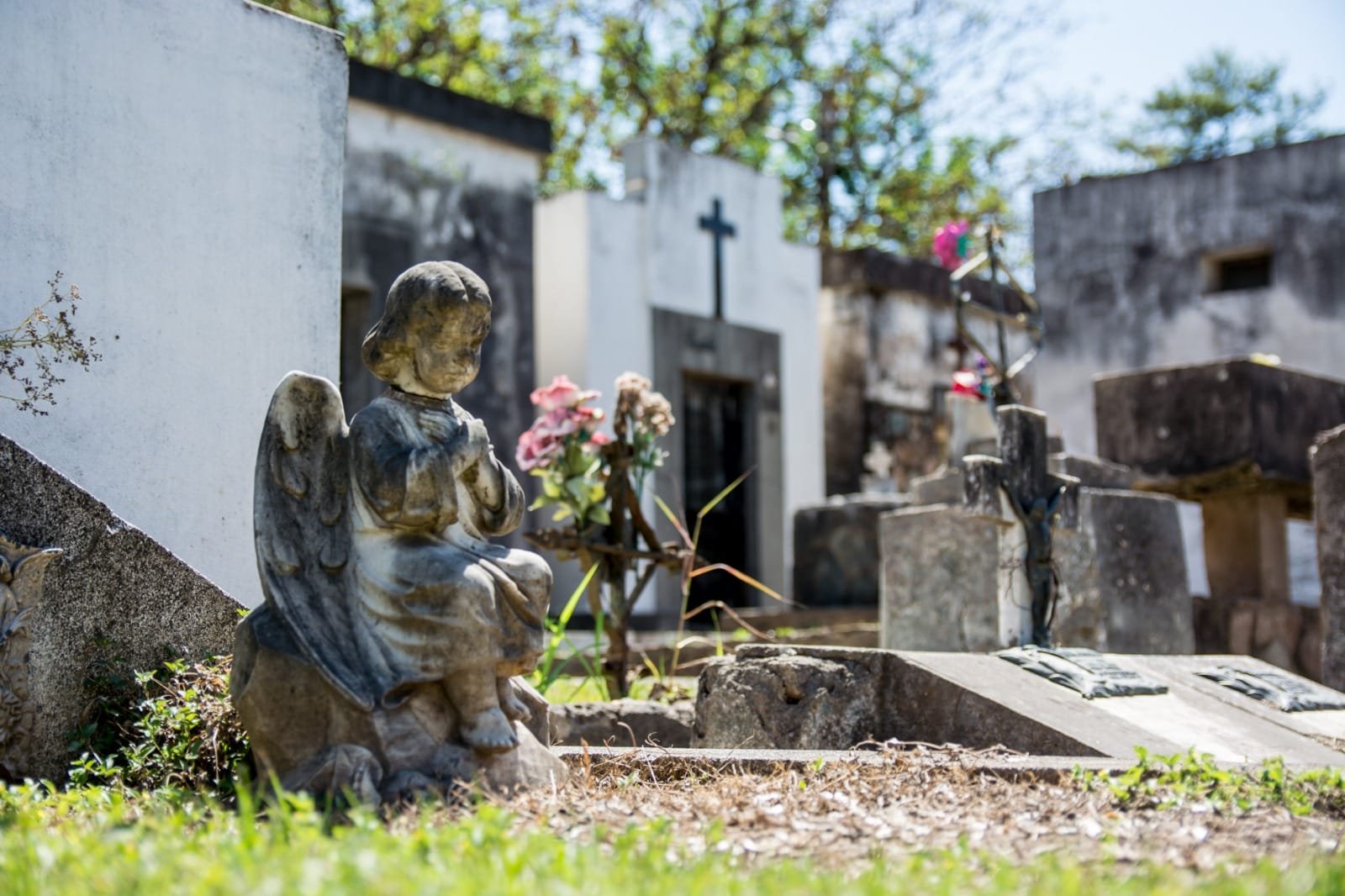 Conoce la historia del cementerio