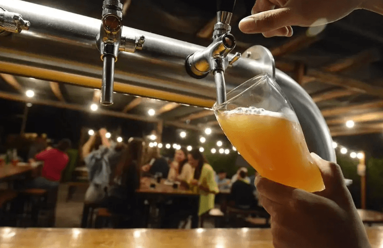 Festival cervecero (Raki)