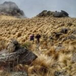 High Trek Outdoors - Imagen 4