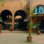 Galería Los Troncos - Imagen 2