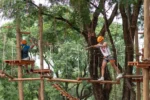 Raki parque aéreo - Imagen 3